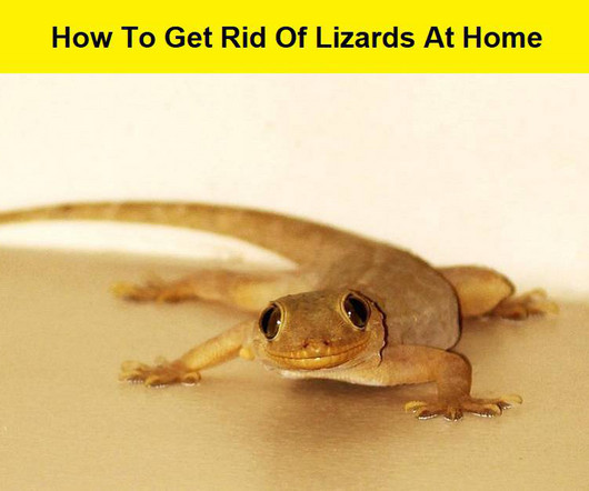 article thumbnail
